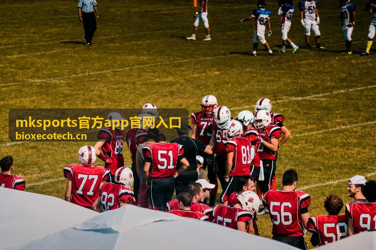 mksports官方app官网入口会员等级与权益说明对照示意