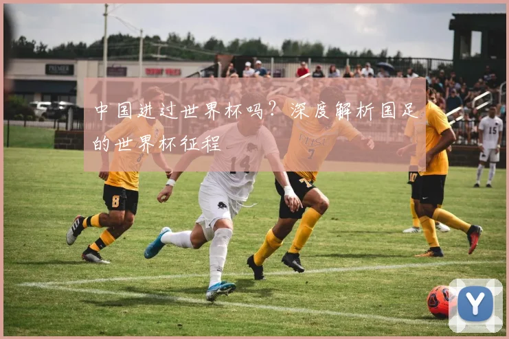 中国进过世界杯吗？深度解析国足的世界杯征程
