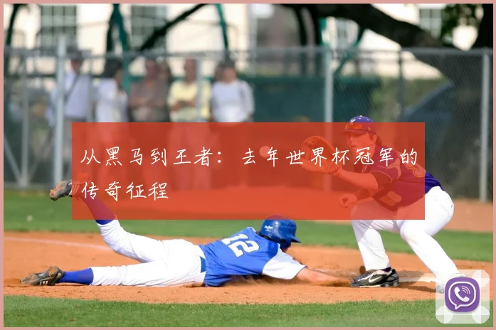 从黑马到王者：去年世界杯冠军的传奇征程