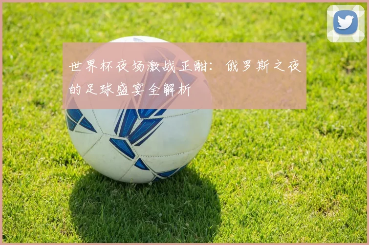 世界杯夜场激战正酣：俄罗斯之夜的足球盛宴全解析
