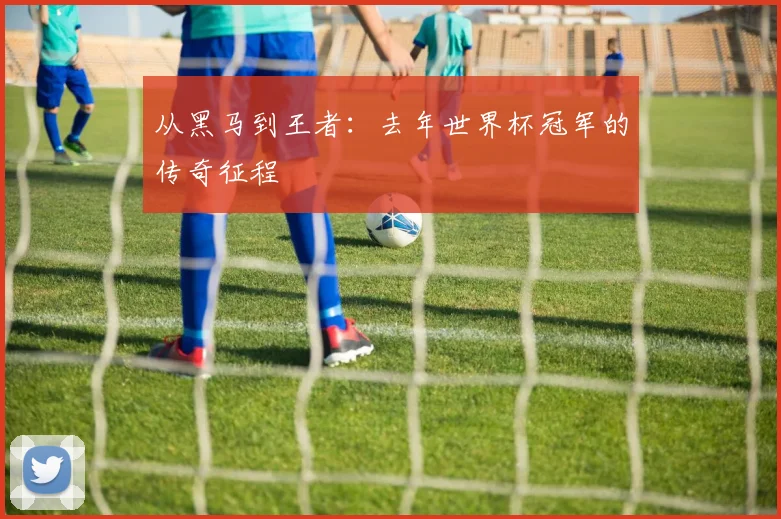 从黑马到王者：去年世界杯冠军的传奇征程