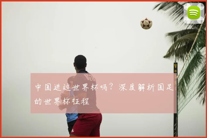 中国进过世界杯吗？深度解析国足的世界杯征程
