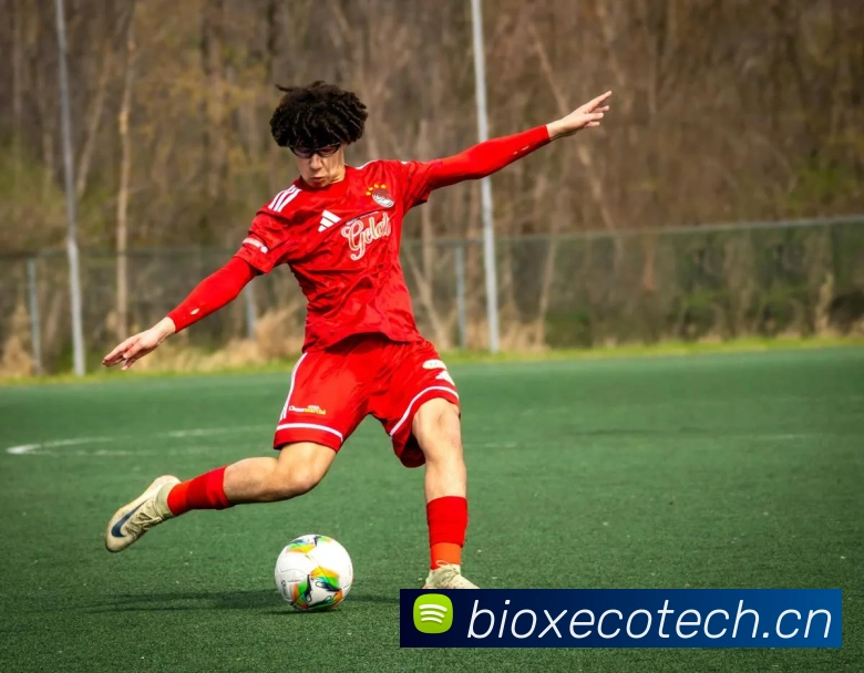 App Interface Preview